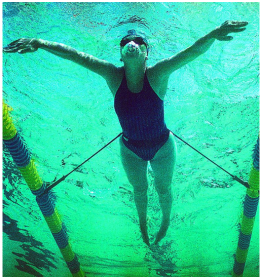 Strechcordz® stationary swim trainer